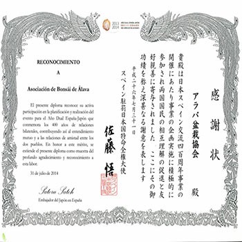 Diploma Embajada de Japón